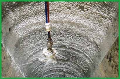 about-greenforet-img